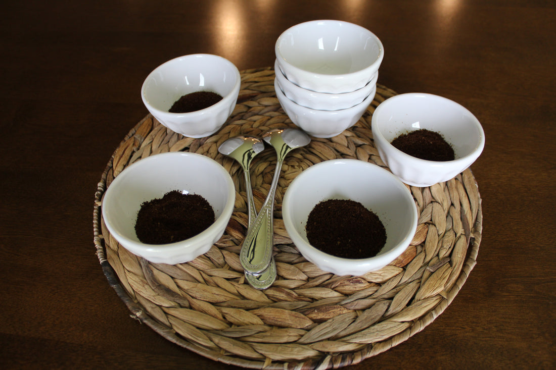 Coffee Cupping